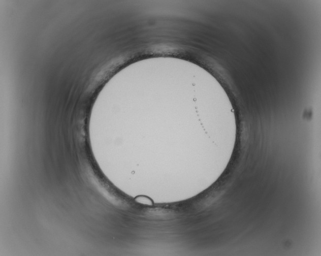 X0000113140633200910161156