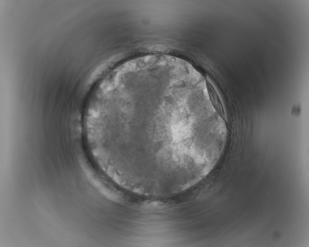 X0000113140634200910161156