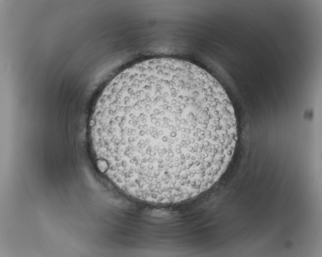 X0000113140635200910161156