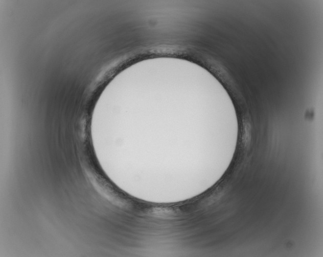 X0000113140636200910161156