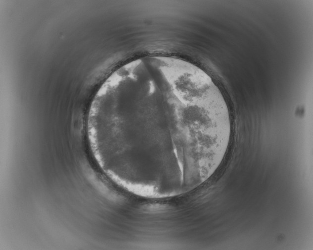 X0000113140637200910161156