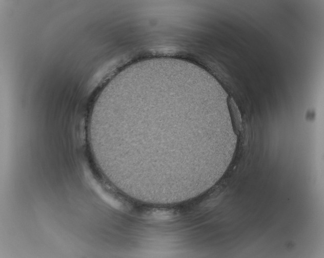 X0000113140638200910161156