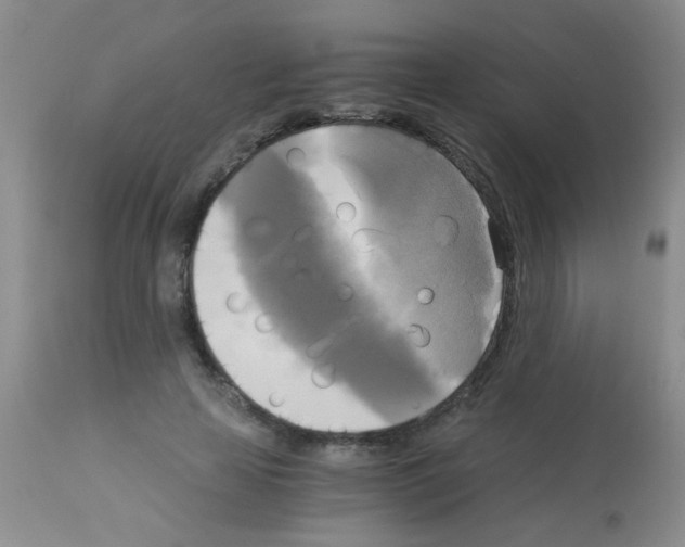 X0000113140641200910161156