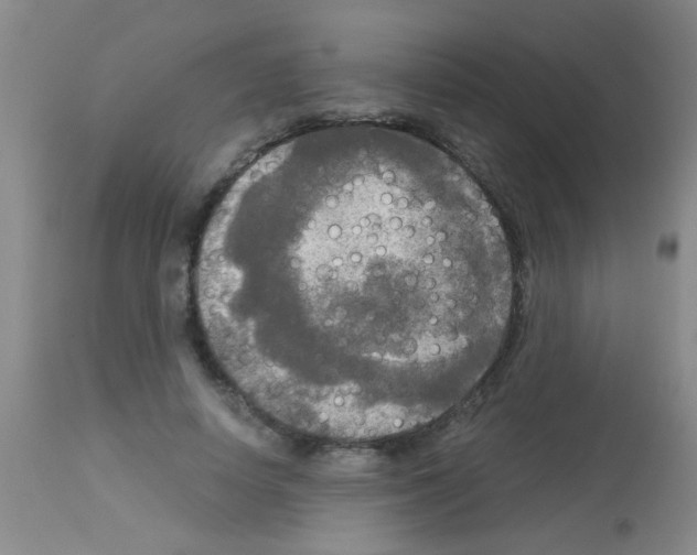X0000113140642200910161156