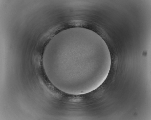 X0000113140643200910161156