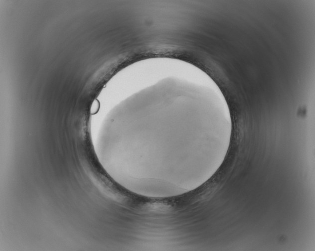 X0000113140644200910161156