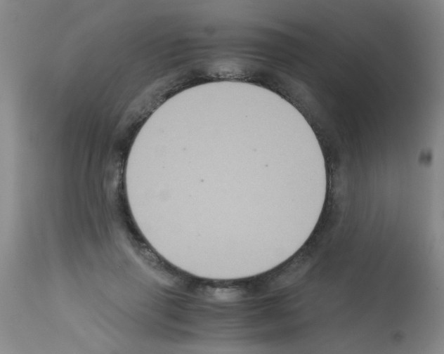X0000113140645200910161156