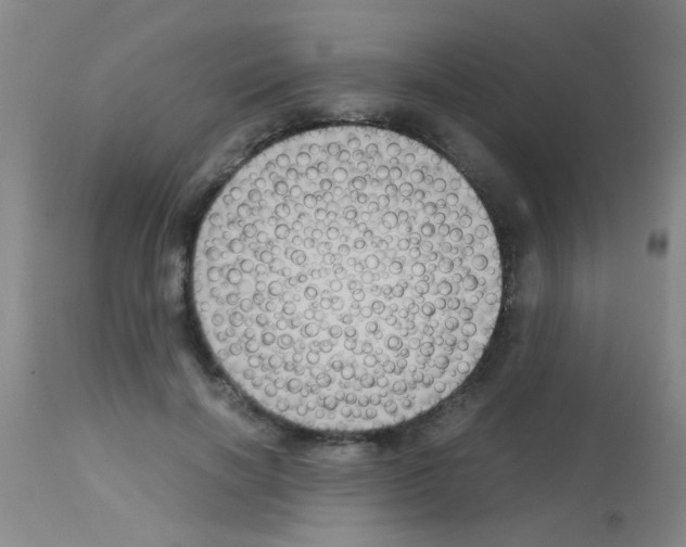 X0000113140646200910161157
