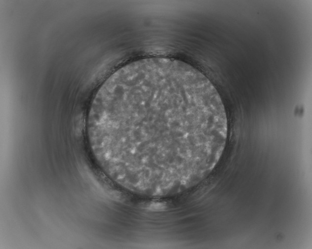 X0000113140647200910161157