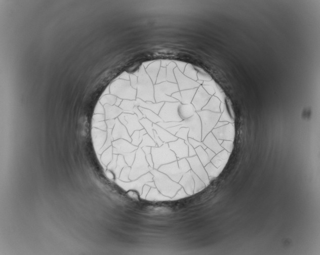X0000113140649200910161157