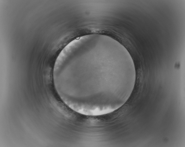 X0000113140650200910161157