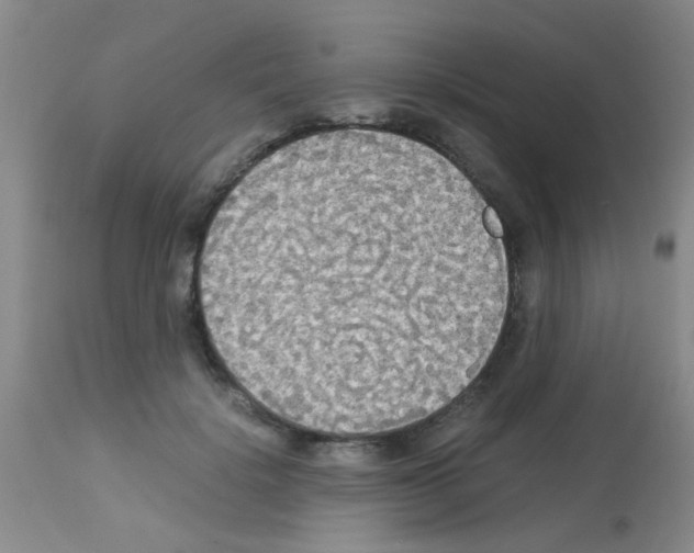 X0000113140652200910161157