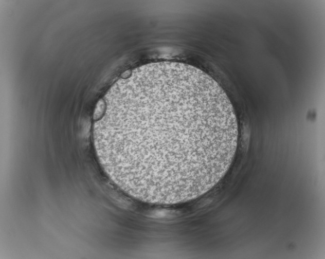 X0000113140657200910161157