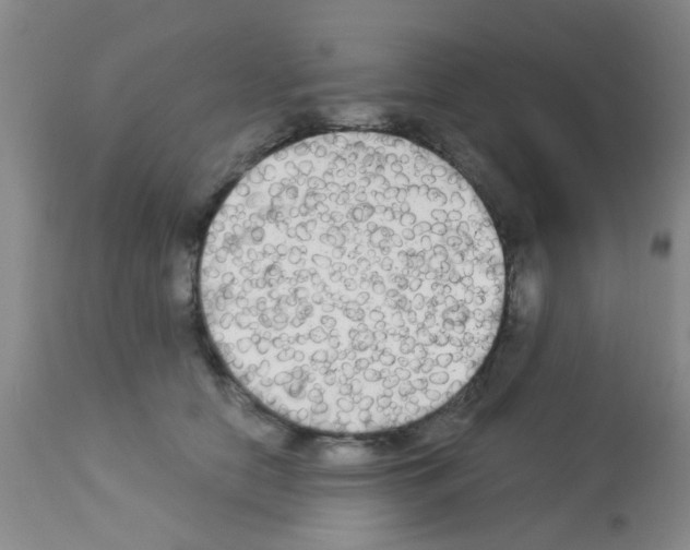 X0000113140658200910161157