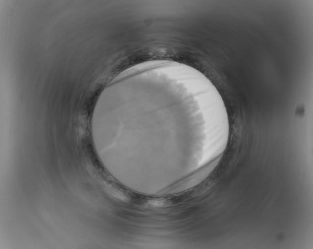 X0000113140659200910161157