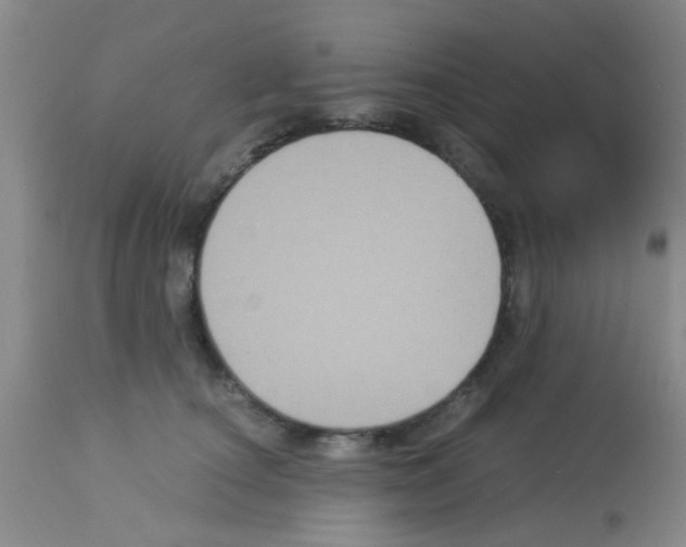 X0000113140660200910161157