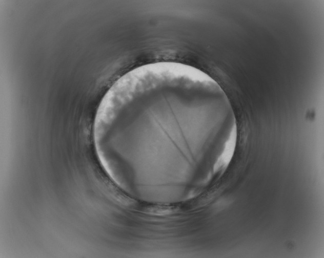 X0000113140661200910161157