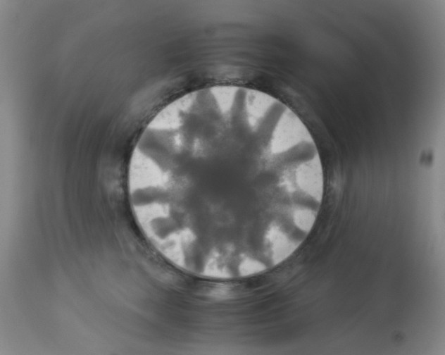 X0000113140663200910161157