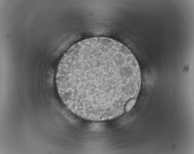 X0000113140664200910161157