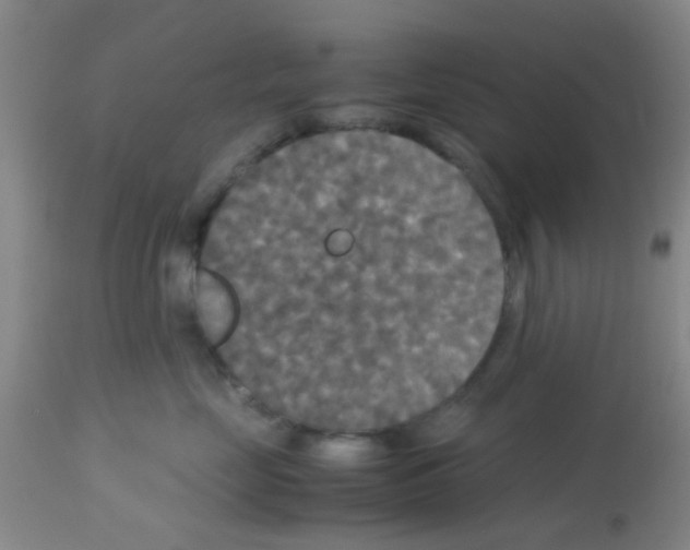 X0000113140669200910161157