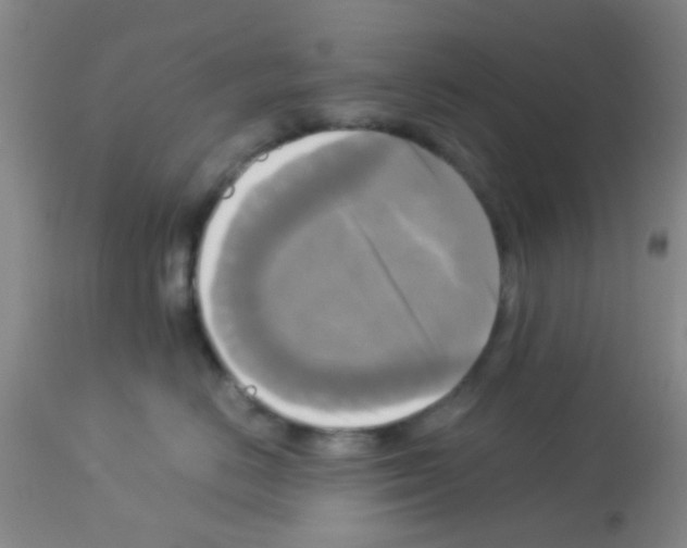 X0000113140670200910161157