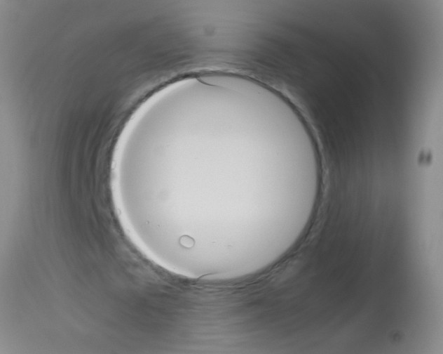X0000113140673200910161156