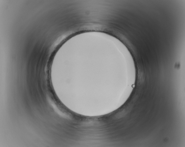 X0000113140674200910161156
