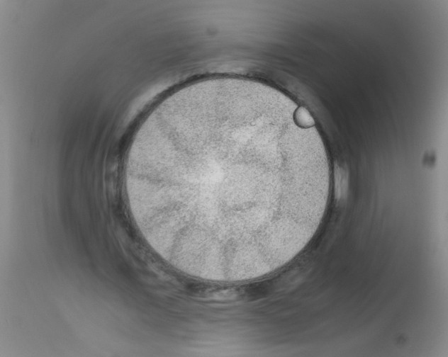 X0000113140675200910161156