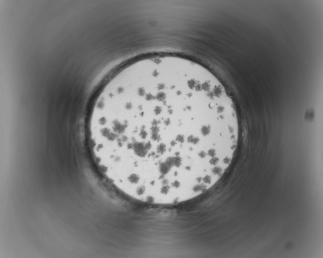 X0000113140676200910161156