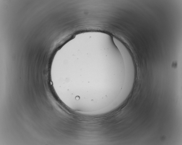 X0000113140677200910161156