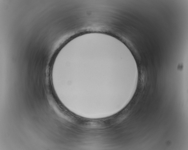 X0000113140678200910161156