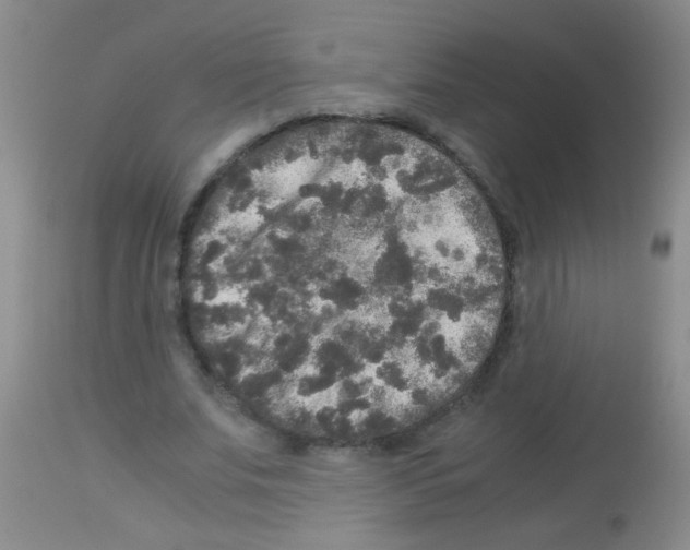 X0000113140679200910161156
