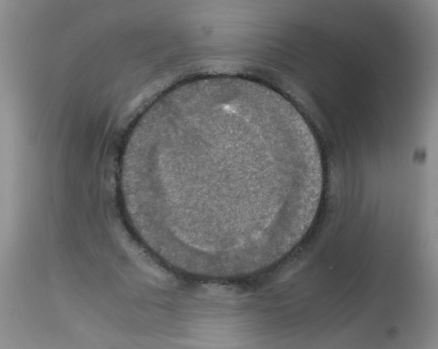 X0000113140681200910161156