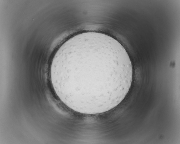 X0000113140682200910161156