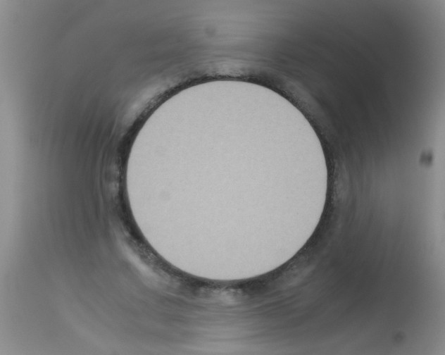 X0000113140683200910161156