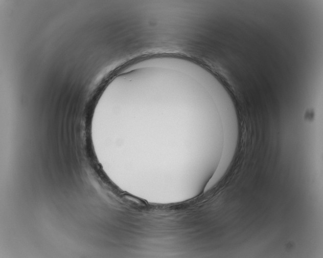X0000113140684200910161156