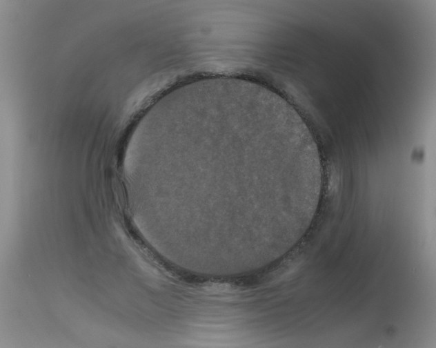 X0000113140685200910161156