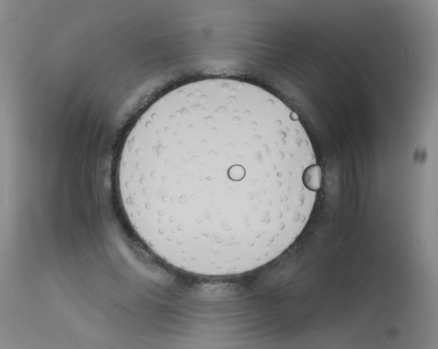 X0000113140686200910161156