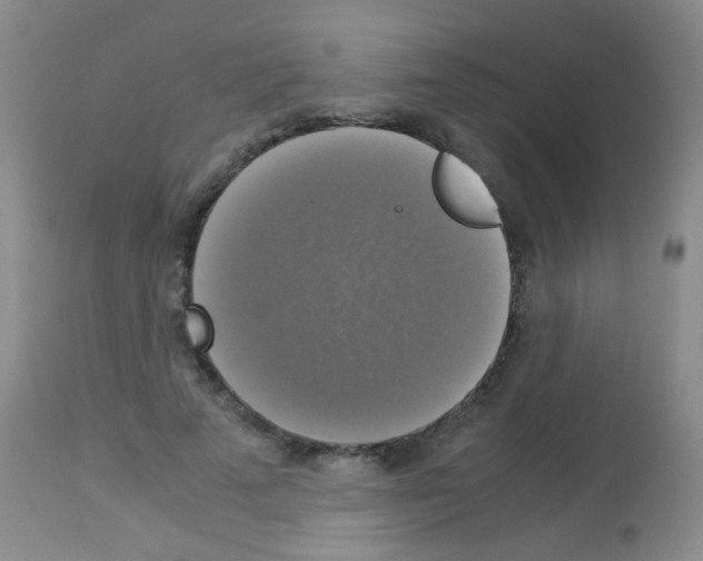X0000113140689200910161156