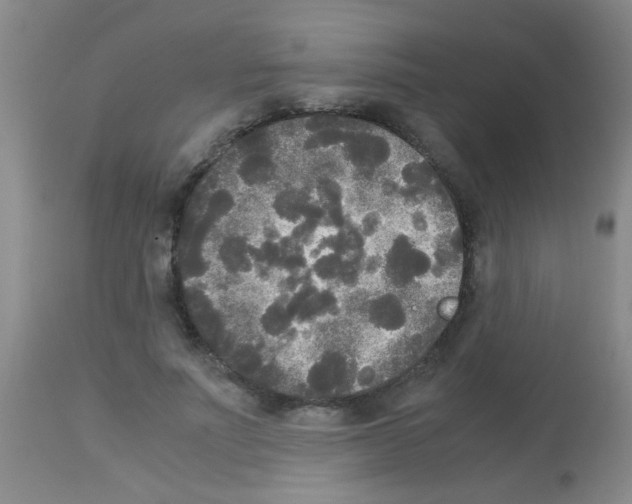 X0000113140691200910161156