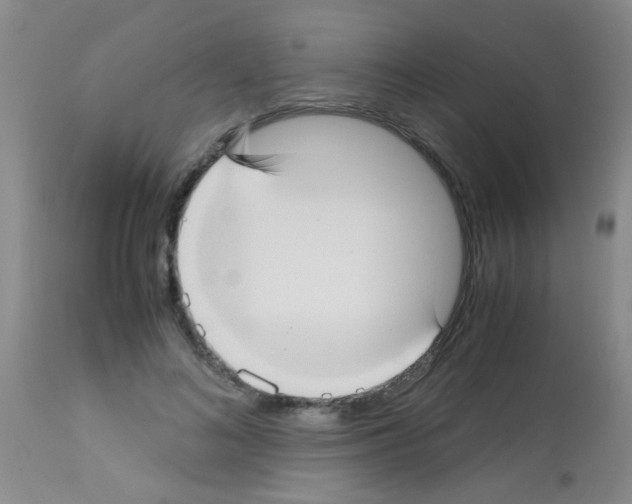 X0000113140692200910161156