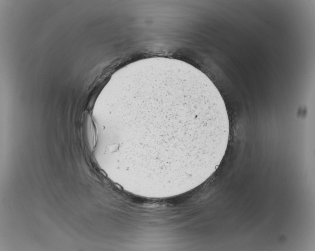 X0000113140693200910161156