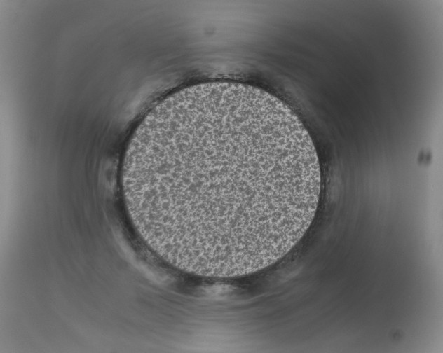 X0000113140695200910161156