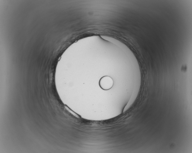 X0000113140697200910161156