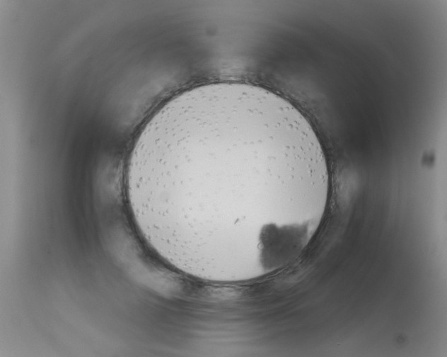 X0000113140698200910161156