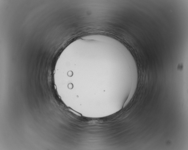 X0000113140700200910161156