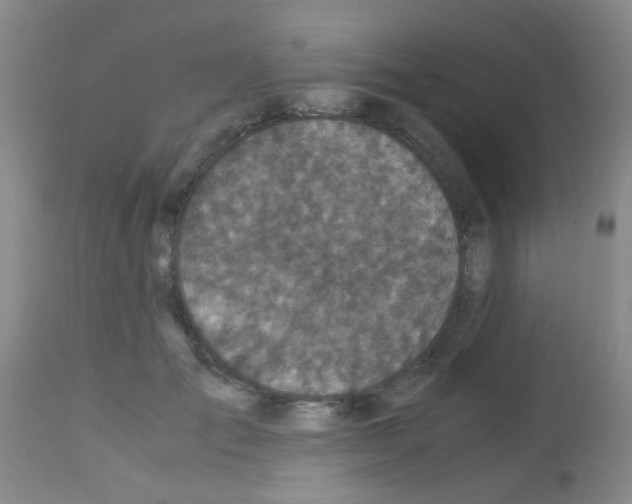 X0000113140701200910161156