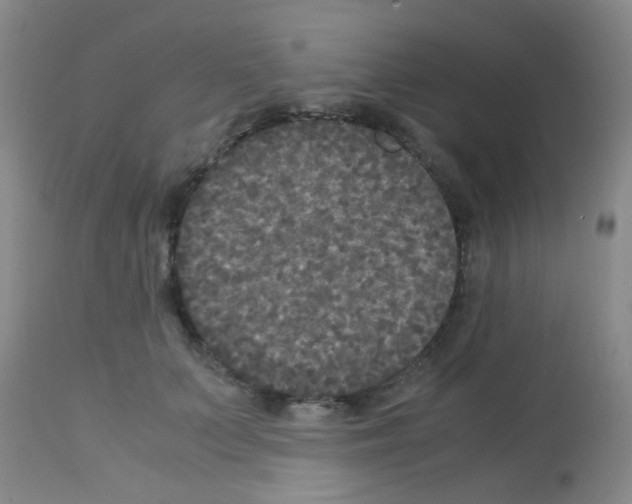 X0000113140703200910161156