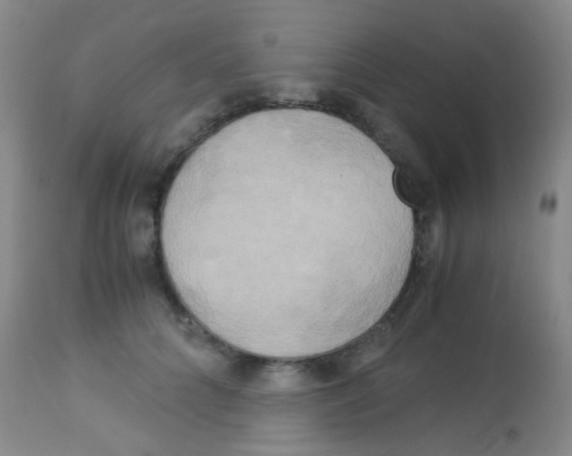X0000113140704200910161156
