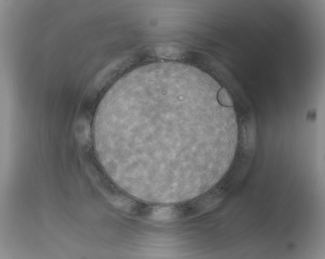 X0000113140705200910161156